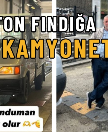 fındık