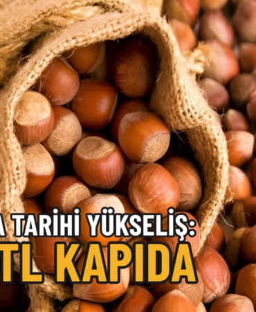 fındık