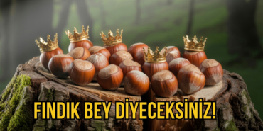 fındık bey