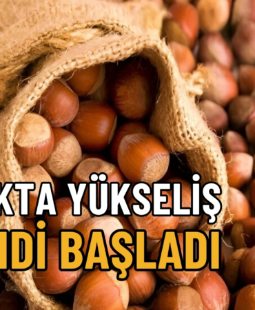 FINDIK