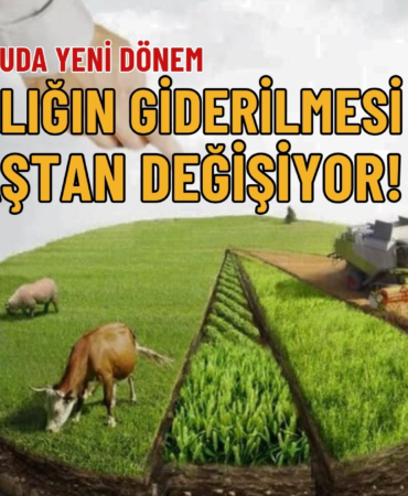 HİSSELİ