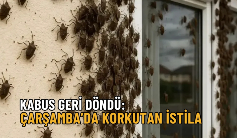 çarşamba kabus