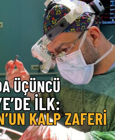 kalp