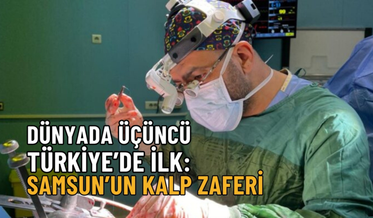 kalp