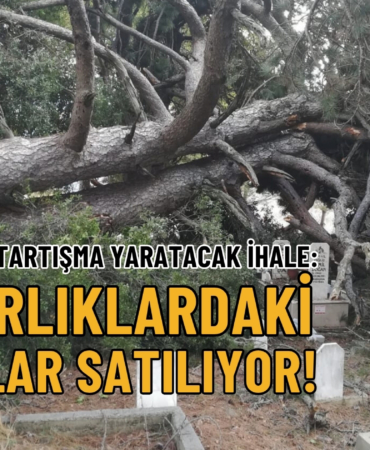 mezarlık
