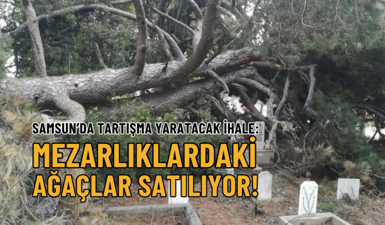 mezarlık