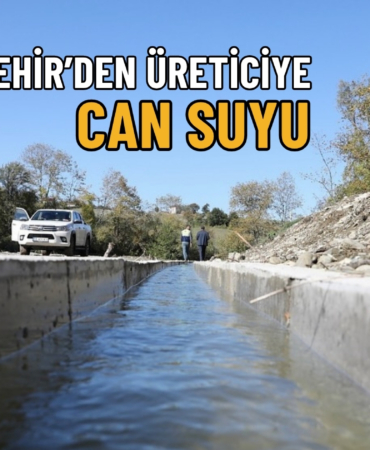 can suyu