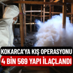 KOKARCA
