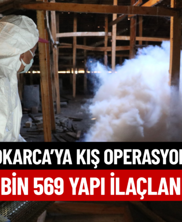 KOKARCA