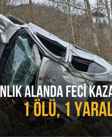 ORMANLIK ALAN