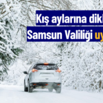 kış aylarına