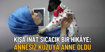 kışa inat