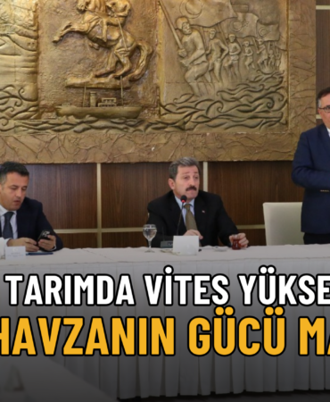 samsun tarım