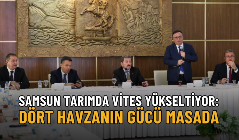 samsun tarım