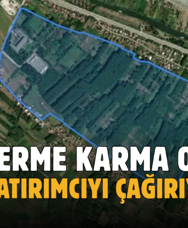 TERME OSB