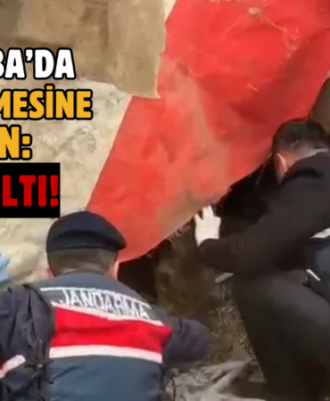 baskın