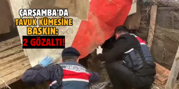 baskın