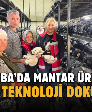 teknoloji