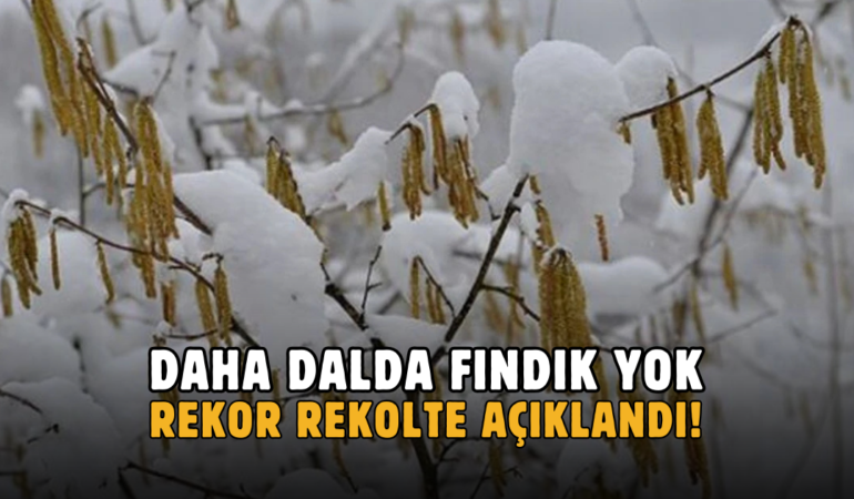 REKOR REKOLTE