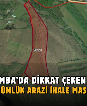arazi satış