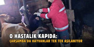 hastalık