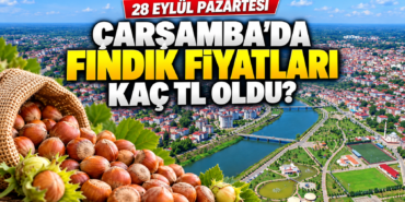 fındık