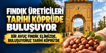 fındık
