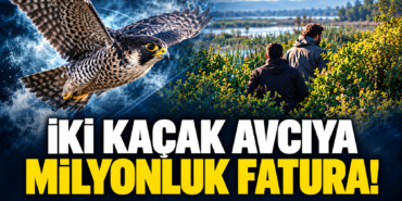 kaçak av