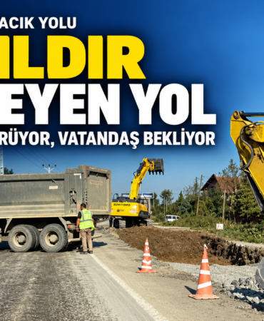 yol